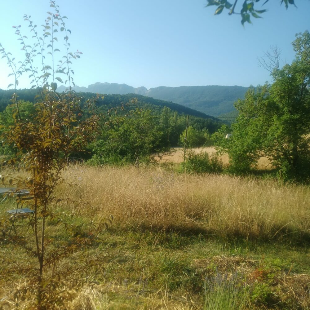 WhatsApp Image 2026-09-22 at 19.19.42